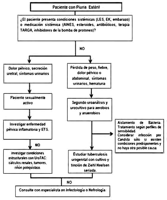Figura 1. Algoritmo diagnóstico en pacientes con Piuria estéril.