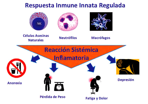 Reacción	inflamatoria	sistémica:	causas	y	efectos	del	tumor