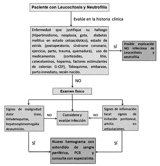 Algoritmo para la aproximación diagnóstica de un paciente con Leucocitosis y neutrofilia. Fuente: Elaboración propia. 
