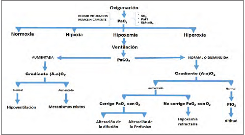 Figura 1. Flujograma	del	primer	eje	(Oxigenación/Ventilación)	(3).