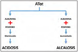 Figura 5.	Flujograma	para	la	interpretación	del	ATot	(Ácidos	Débiles	No	Volátiles)	(16).