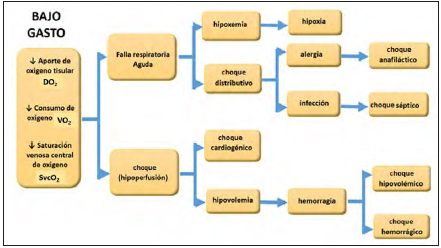 Figura 6. Flujograma	para	la	interpretación	del	síndrome	de	Bajo	gasto	(20).