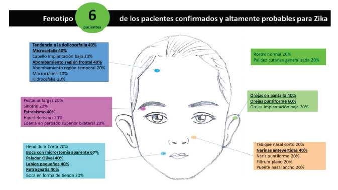 Figura 4. Anomalías	faciales