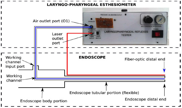Figura 1. Estesiómetro	laringofaríngeo	acoplado	a	fibroscopio.	Tomado	de:	Giraldo-Cadavid	LF,	Agudelo-Otálora	LM,	Burguete	J,	et	al.	Design,	development	and	validation	of	a	new	laryngo-pharyngeal	endoscopic	esthesiometer	and	range-finder	based	on	the	assessment	of	air-pulse	variability	determinants.	BioMedical	Engineering	Online	2016;	15:1-23.