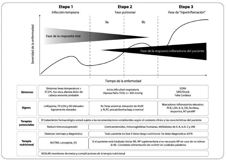 Figura 1. Fases de la enfermedad COVID-19 y opciones terapéuticas nutricionales.
