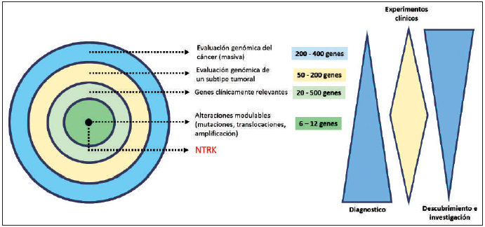 Figura 2. Utilidad de la oncología de precisión para la determinación de genes potencialmente modulables con