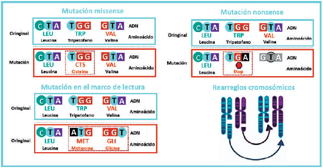 Figura 1. Clasificación de las mutaciones en cáncer.