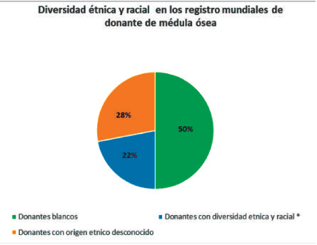 Figura 4. Grupos con diversidad étnica/racial incluyen