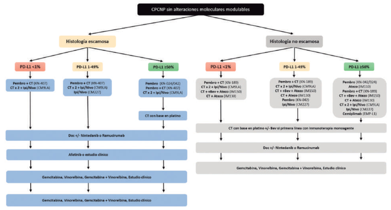 Figura 3. Opciones de tratamiento para los pacientes con CPCNP sin blancos moleculares potencialmente