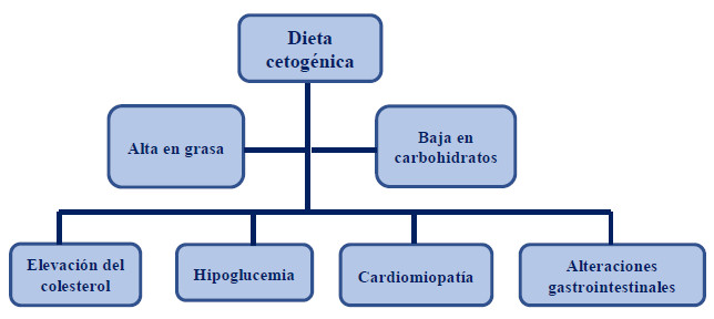 Cuadro 2. Esquema de los efectos adversos de las dietas cetogénicas. Elaboración propia.