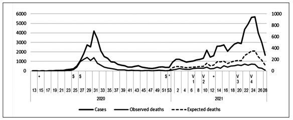 Figure 1. Curve in epidemiological weeks of cases and deaths confirmed by SARS-COV-2, in the department of