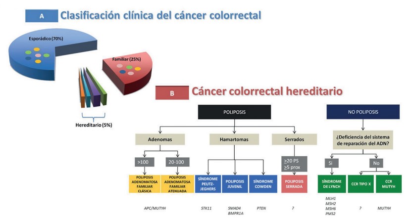 Figura 1. Clasificación del cáncer colorrectal. A) Clasificación clínica: esporádico, familiar, hereridatio. B) Tipos de