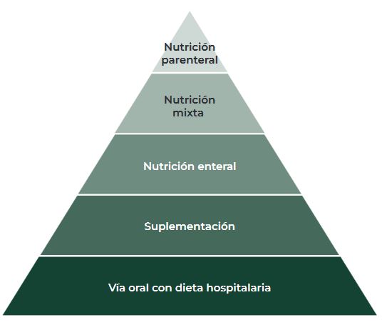 La pirámide nutriional