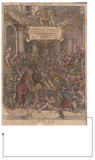 Figura 7: Portada polícroma de De Humanis Corporis Fabrica, Andrea Vesalio, 1543 (24).