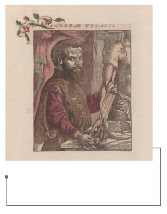 Figura 8: Retrato de Andrea Vesalio en De Humanis Corporis Fabrica (24)