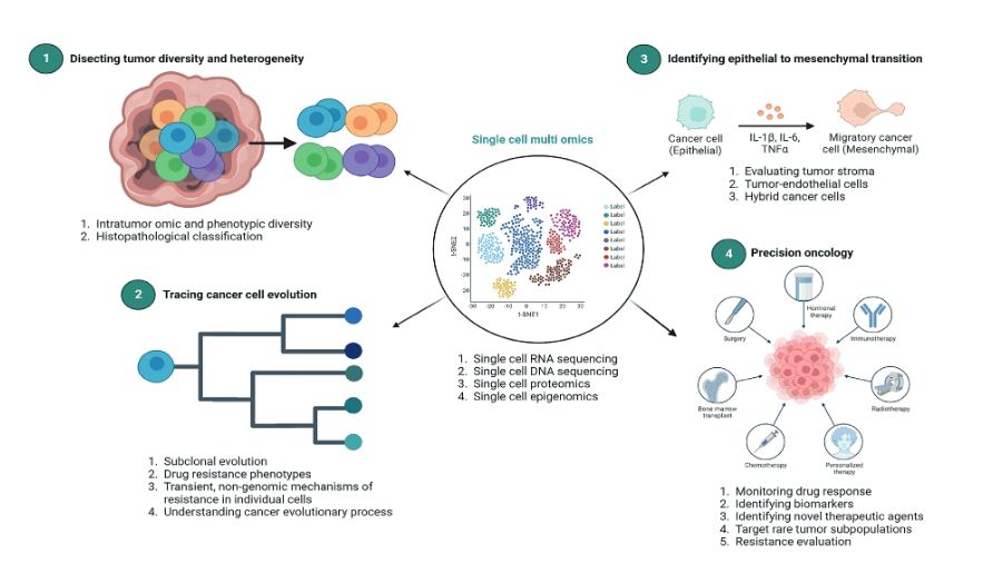 Single-cell approaches in cancer precision medicine