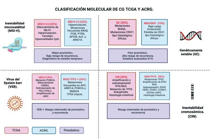 Clasificaciones moleculares de CG según el TGCA y el ACRG.