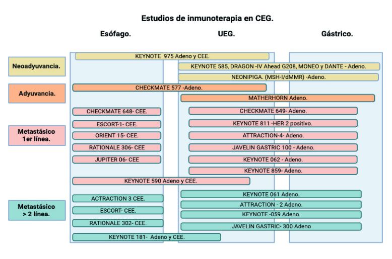 Principales estudios de inmunoterapia (ICI) en CEG